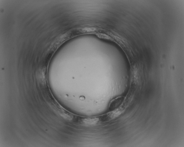 X0000077400373200611032032