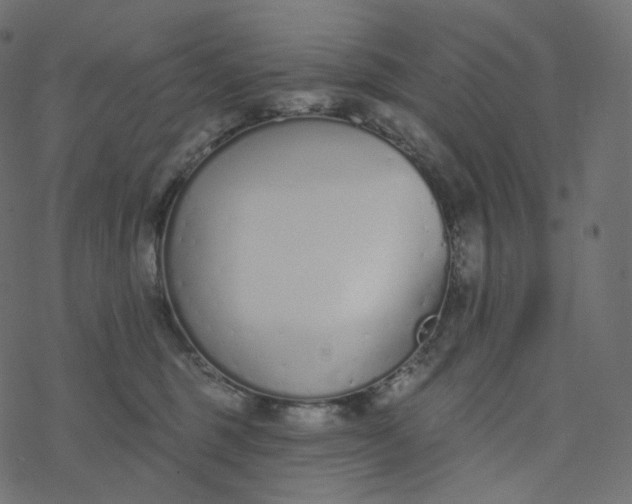 X0000077400375200611032032