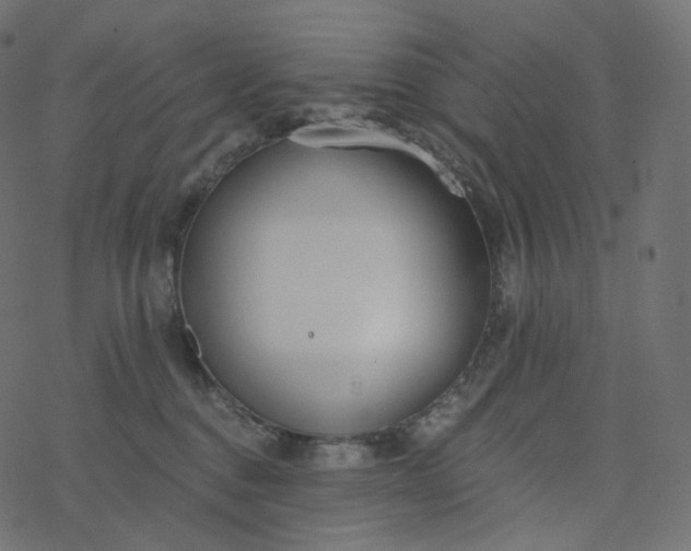 X0000077400376200611032032