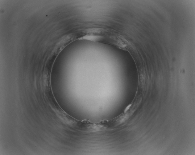 X0000077400379200611032032