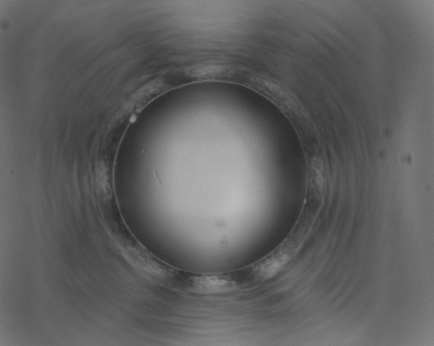 X0000077400380200611032033