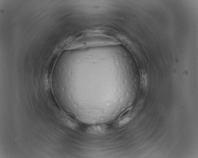 X0000077400381200611032033