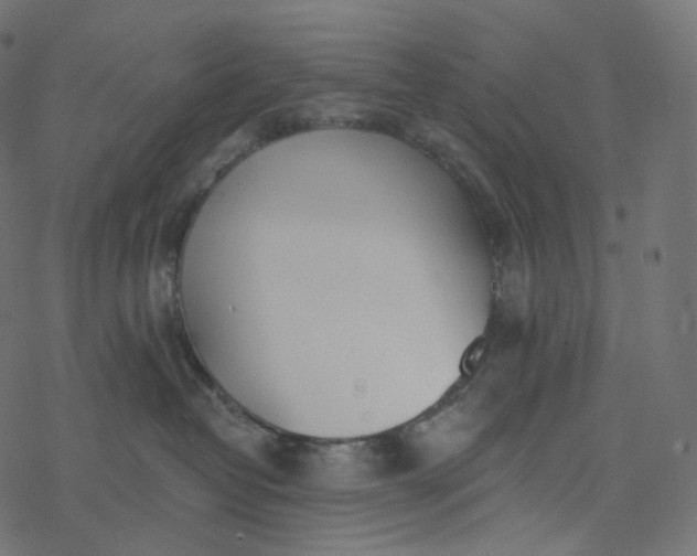 X0000077400382200611032033