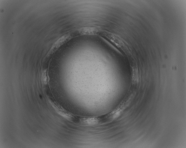 X0000077400383200611032033