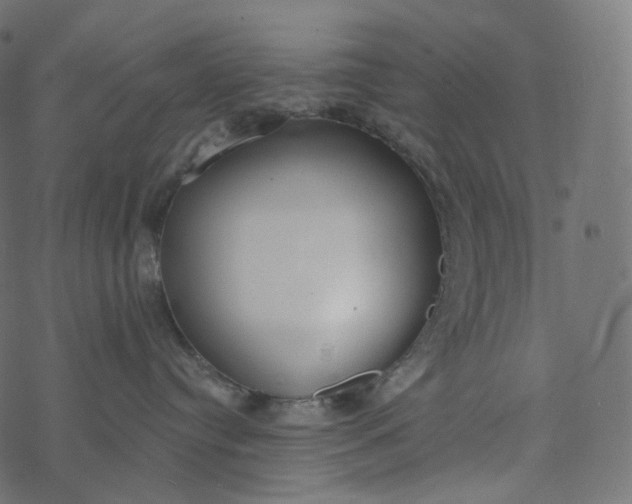 X0000077400384200611032033