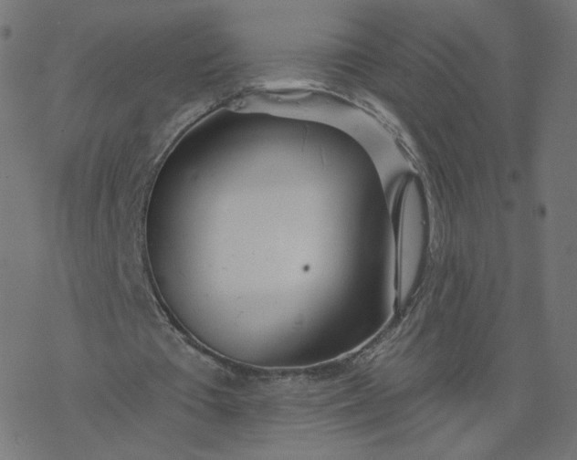 X0000077400385200611032032