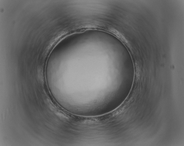 X0000077400386200611032032