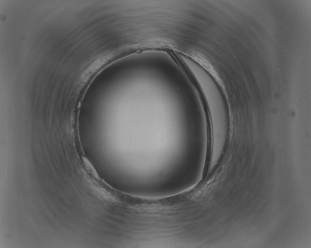 X0000077400389200611032032