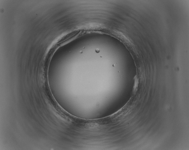 X0000077400392200611032032