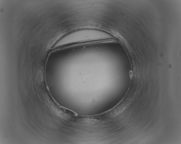 X0000077400393200611032032