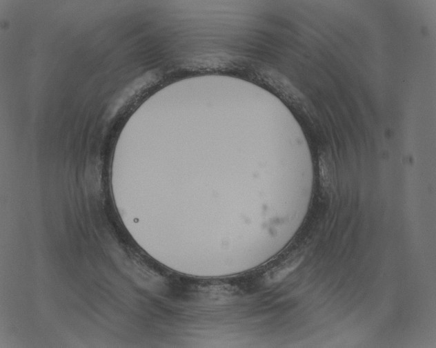 X0000077400396200611032032