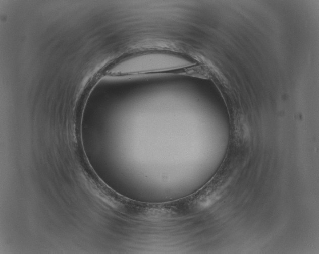 X0000077400399200611032032