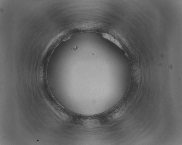 X0000077400400200611032032