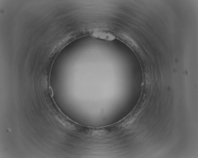 X0000077400401200611032032