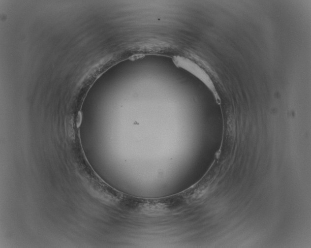 X0000077400403200611032031