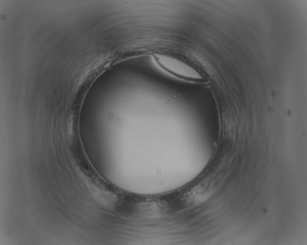 X0000077400404200611032031