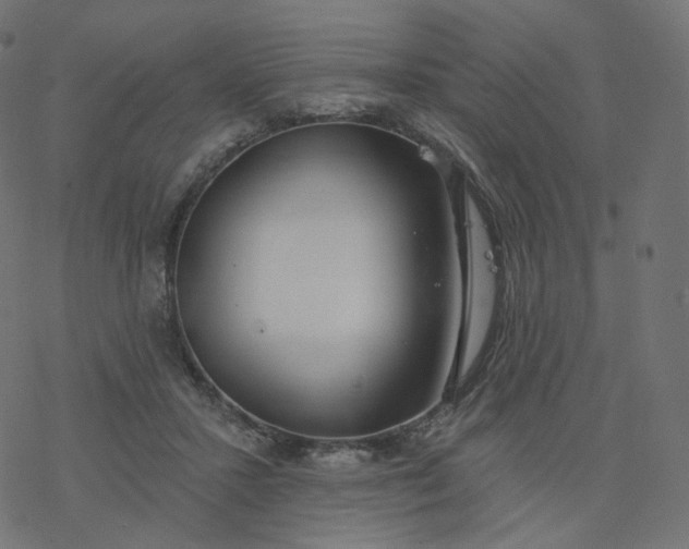 X0000077400407200611032031