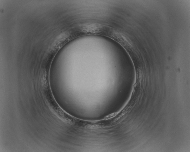 X0000077400408200611032031