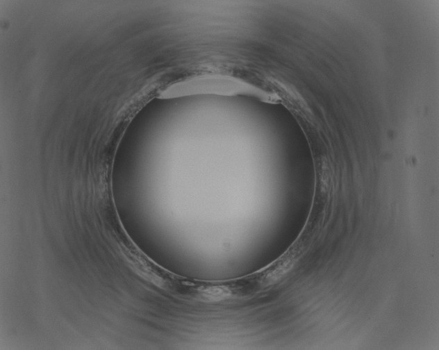 X0000077400409200611032031