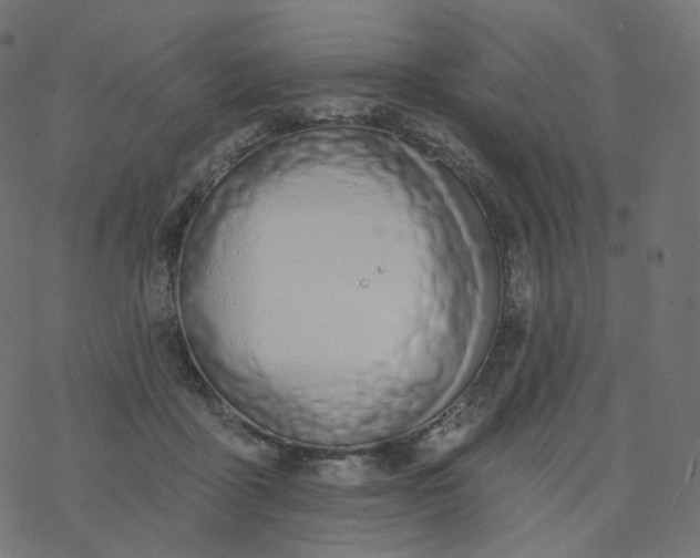 X0000077400411200611032031