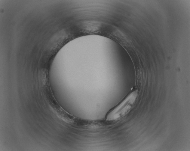 X0000077400412200611032031