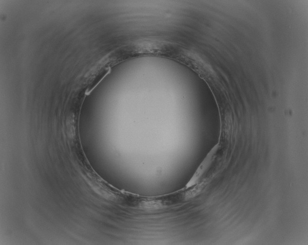 X0000077400413200611032031