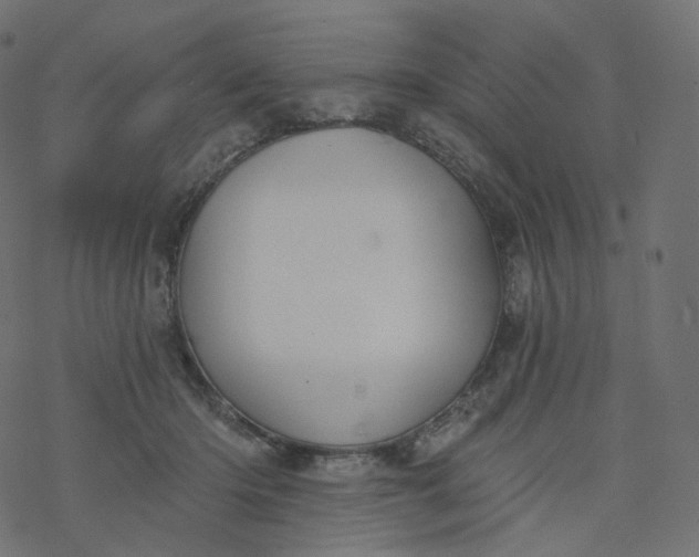 X0000077400414200611032031