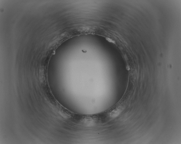 X0000077400416200611032031