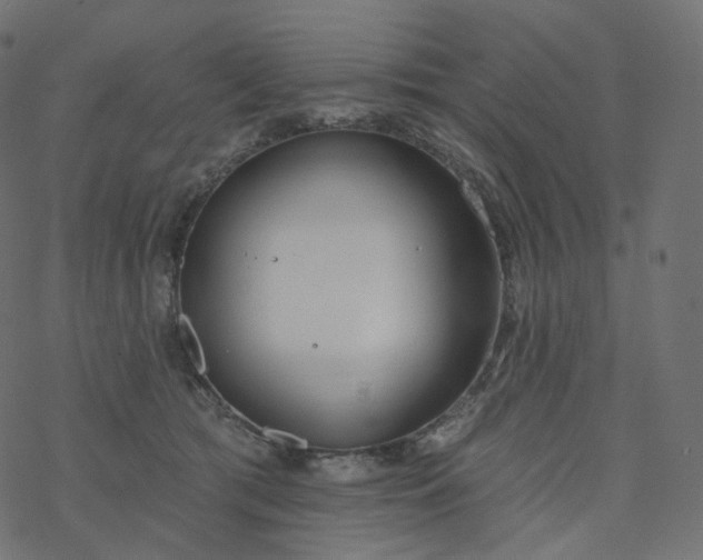 X0000077400417200611032031