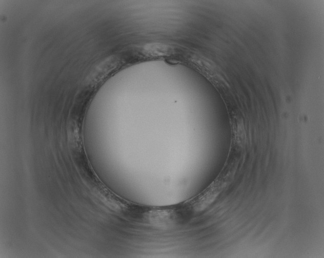 X0000077400418200611032031