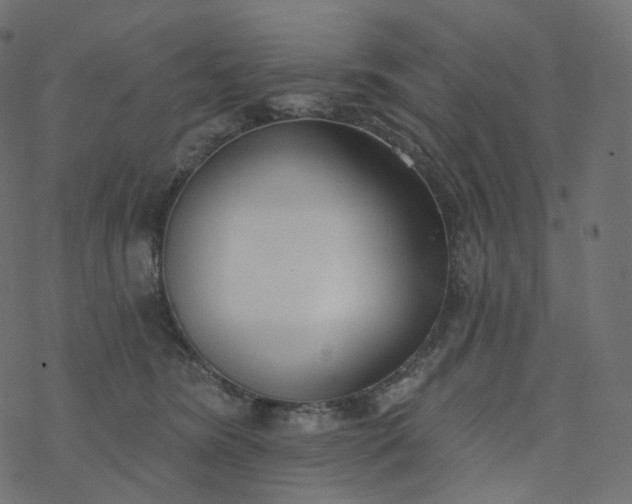 X0000077400420200611032031