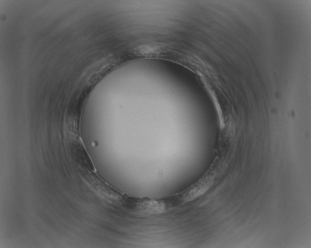 X0000077400421200611032031