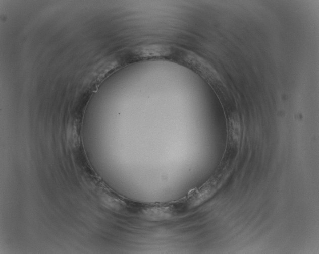 X0000077400422200611032031