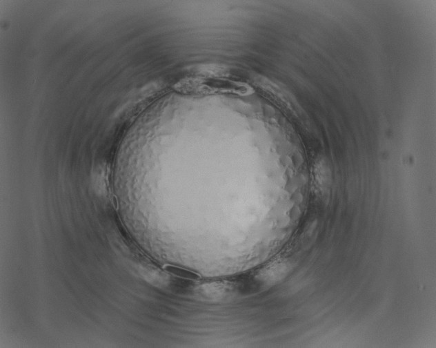 X0000077400423200611032031