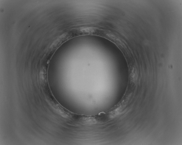 X0000077400424200611032031