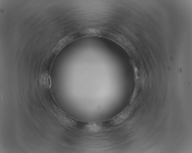 X0000077400425200611032031