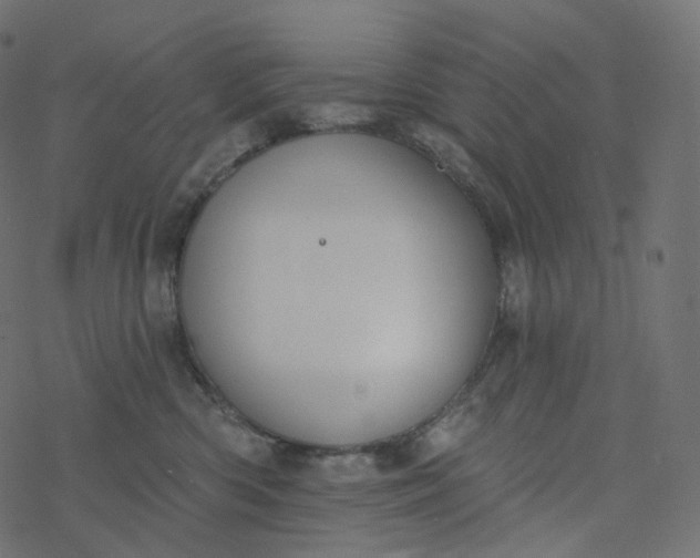 X0000077400426200611032031