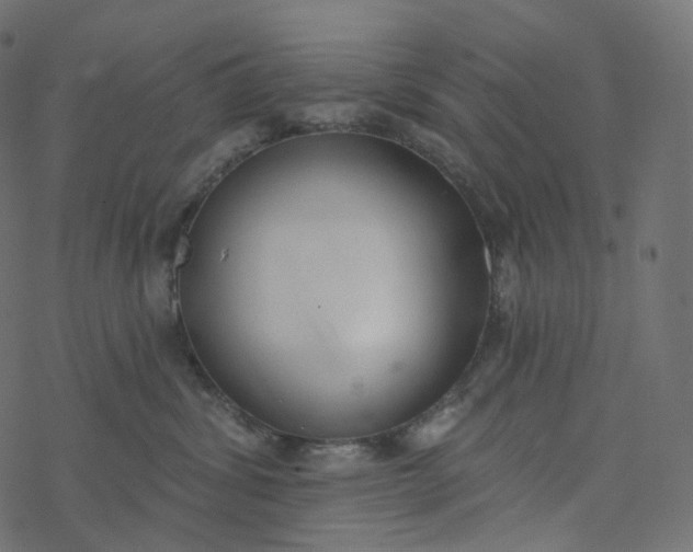 X0000077400428200611032031