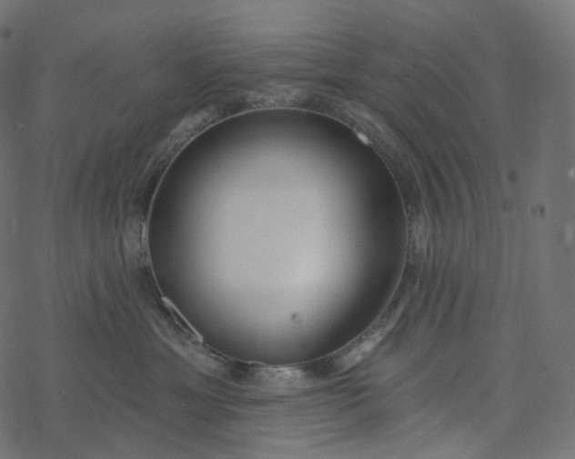 X0000077400429200611032031