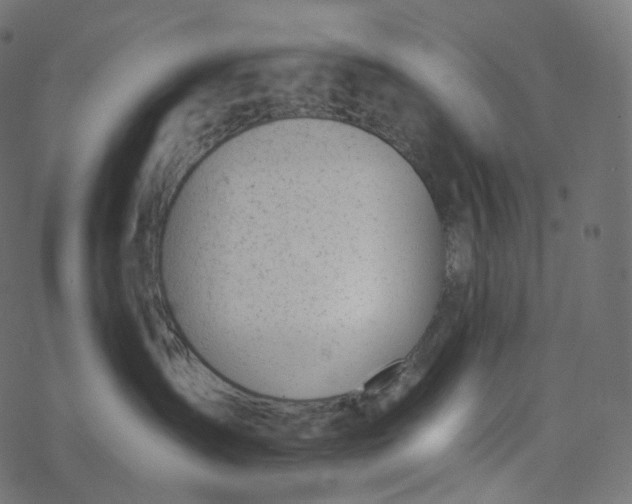 X0000077400431200611032031