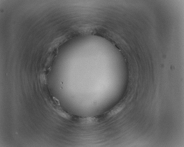 X0000077400432200611032031