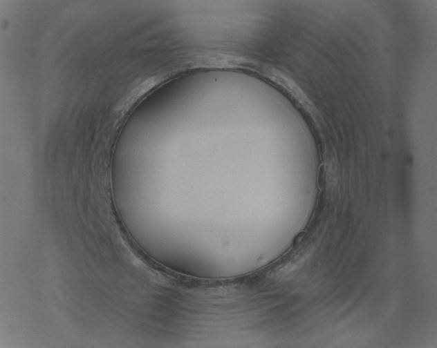 X0000077400433200611032030