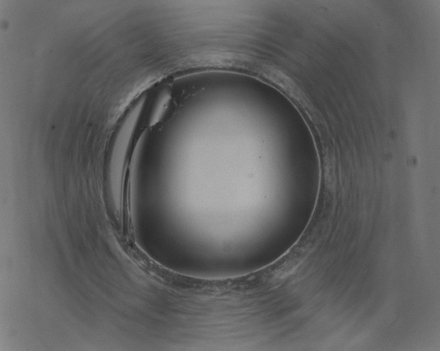 X0000077400434200611032030