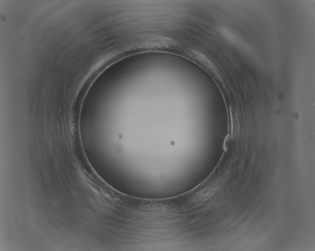 X0000077400435200611032030