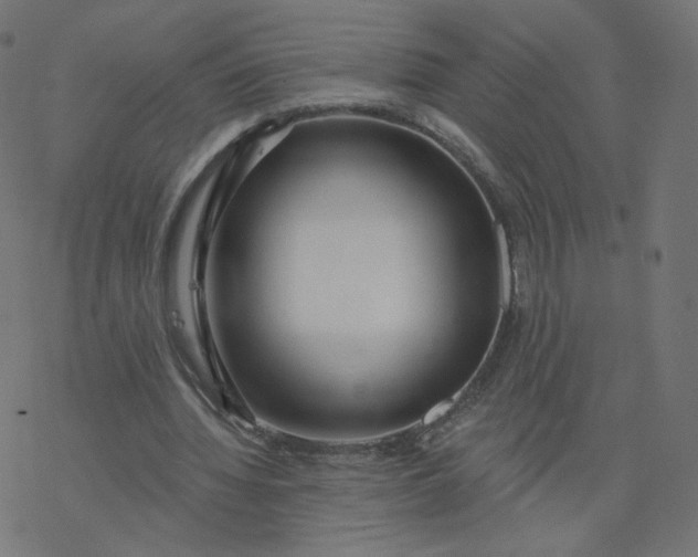 X0000077400436200611032030