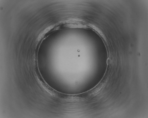 X0000077400437200611032030