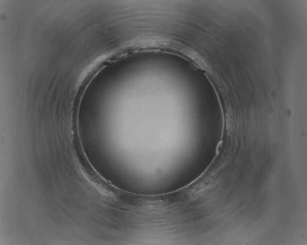 X0000077400438200611032030