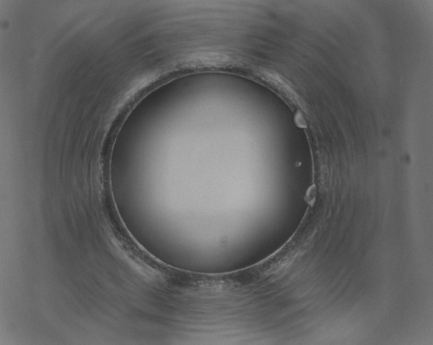 X0000077400439200611032030