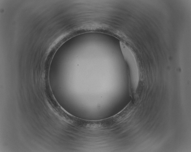 X0000077400440200611032030