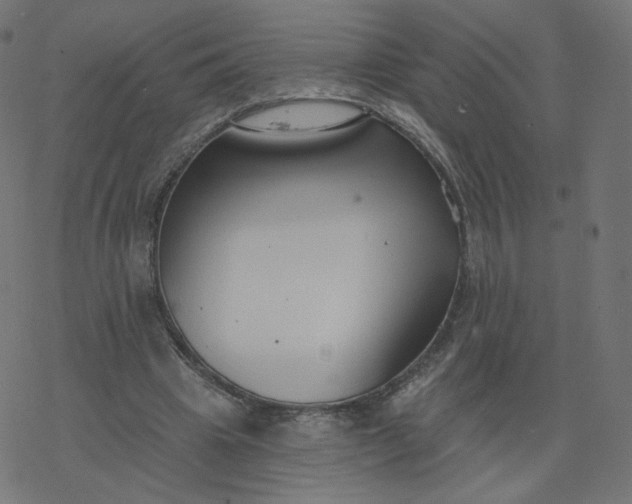 X0000077400441200611032030